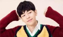 最新爆料小鲜肉,颜值与实力并存，揭秘他的崛起之路